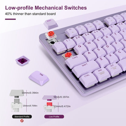 LeadsaiL FA98 Low Profile Wireless Mechanical Keyboard and Mouse Combo – 2.4GHz 98-Key 96% Slim Red Switch Silent Mouse, Ergonomic Design for Windows & Mac | Aesthetic Colors Purple, Silver & Pink