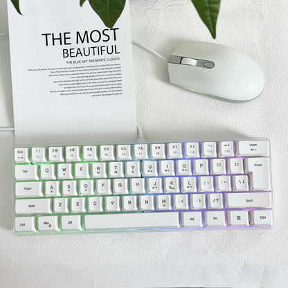 RGB Gaming Keyboard 68 Key Wired Mechanical Feel with RGB Backlight Film Switch Keycap Detachable Cable Compact TKL Layout for Gaming Office PC – 61/68 Key Multi-Color Options (K701)