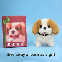 Red(gift box)