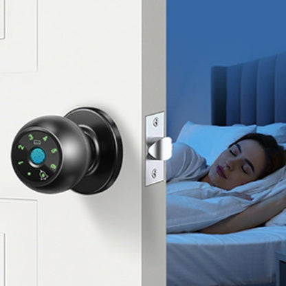 Biometric Handle Lock 5-in-1 Keyless Entry with Fingerprint, App, IC Card, Password & Backup Key – Silent Mode, Anti-Peep Keypad, Electronic Smart Door Handle for Bedroom Apartment Interior Door