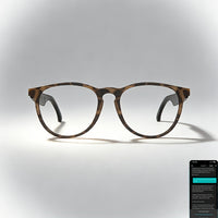 KL06 Hawksbill