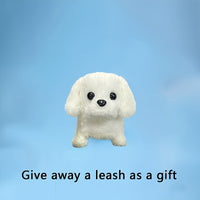 White(gift box)