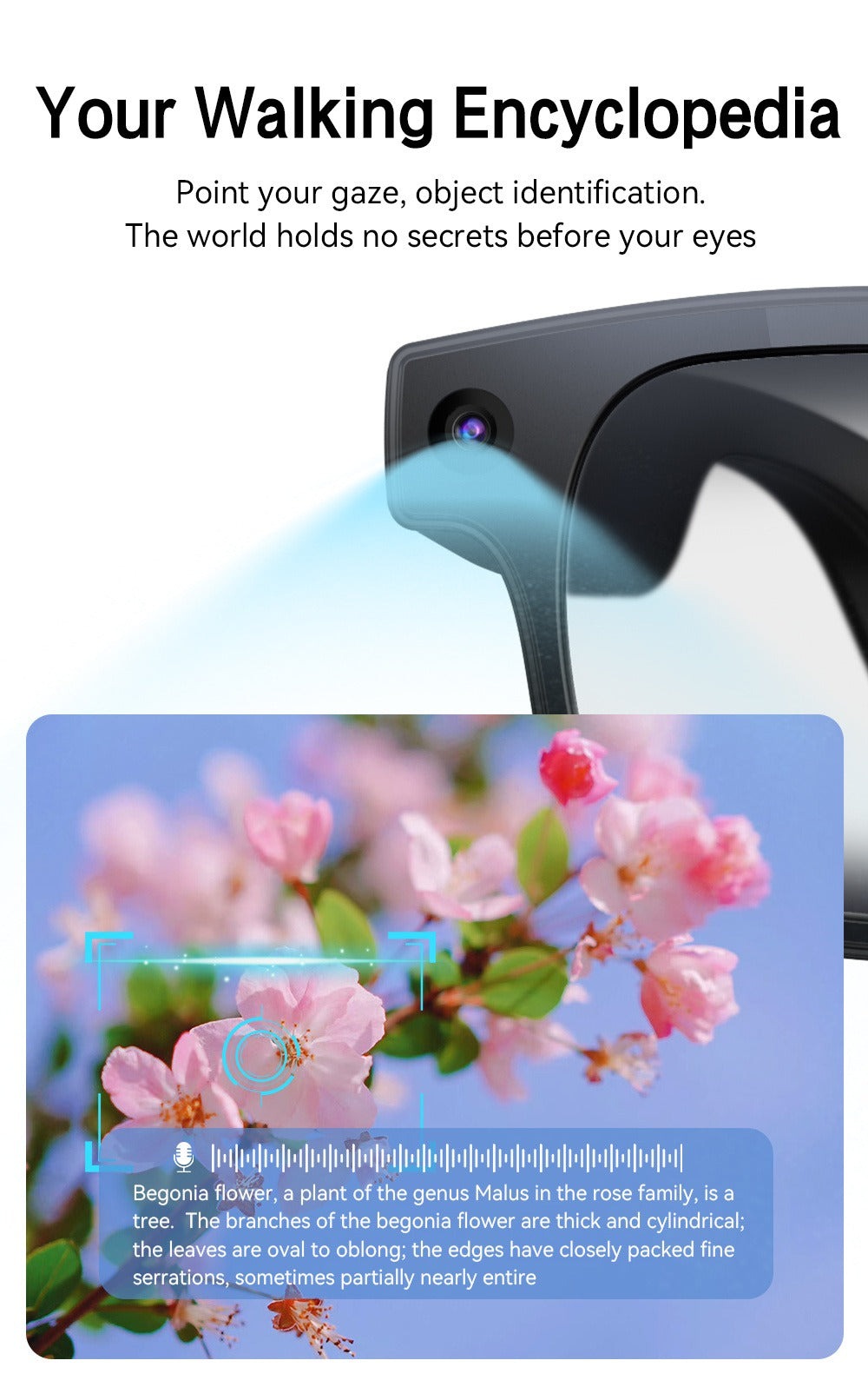 AI Smart Glasses HD Video Recording 8MP Camera - AI Object Recognition, Real-Time Translation, Touch Control, Bluetooth Calls & Music, Wearable Tech for Travel Outdoor 2026