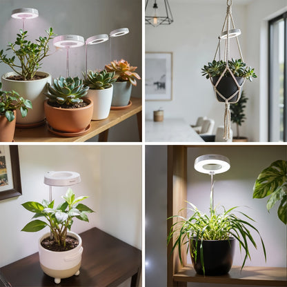 Full Spectrum LED Grow Lights for Indoor Plants – 3-Pack with Auto Timer 3/6/9H, 4 Dimmable Levels & Adjustable Height | Desk Lamp for Seedlings, Herbs, Succulents & Houseplants