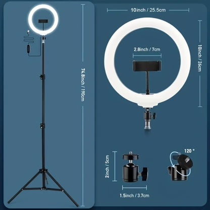 Selfie Ring Light 10/12 Inch with 42-Inch Retractable Tripod Stand | USB Powered, Cold Shoe Mount, Compatible with Smartphone, Camera & Webcam for YouTube, Instagram, TikTok & Live Streaming