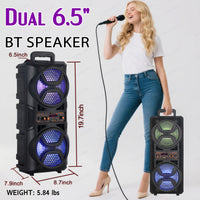 Dual 6.5in Speaker
