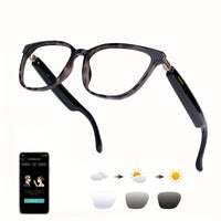 KL02-Tortoiseshell