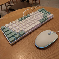 Green And White+Mouse