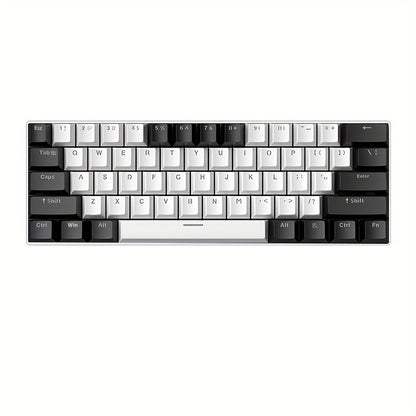 Blue Switch RGB Mechanical Keyboard 60% Layout – 61 Keys Ultra-Compact Wired Tenkeyless Design for PC, Laptop & Mac | Clicky Tactile Gaming & Typing Keyboard | Black & White Color Options