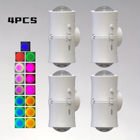 White-4P