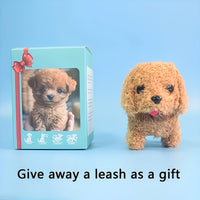 Brown (Gift Box Style)