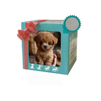 Brown Gift Box (Includes Dog Bone)
