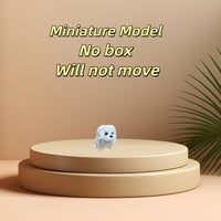 No Gift Box Version