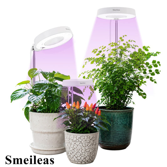 Full Spectrum LED Grow Lights for Indoor Plants – 3-Pack with Auto Timer 3/6/9H, 4 Dimmable Levels & Adjustable Height | Desk Lamp for Seedlings, Herbs, Succulents & Houseplants